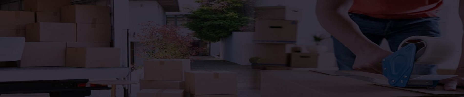 about-banner-image